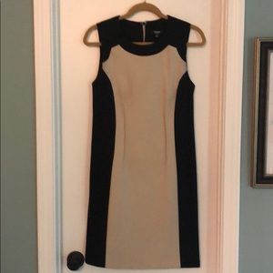 Black and Tan shift dress.